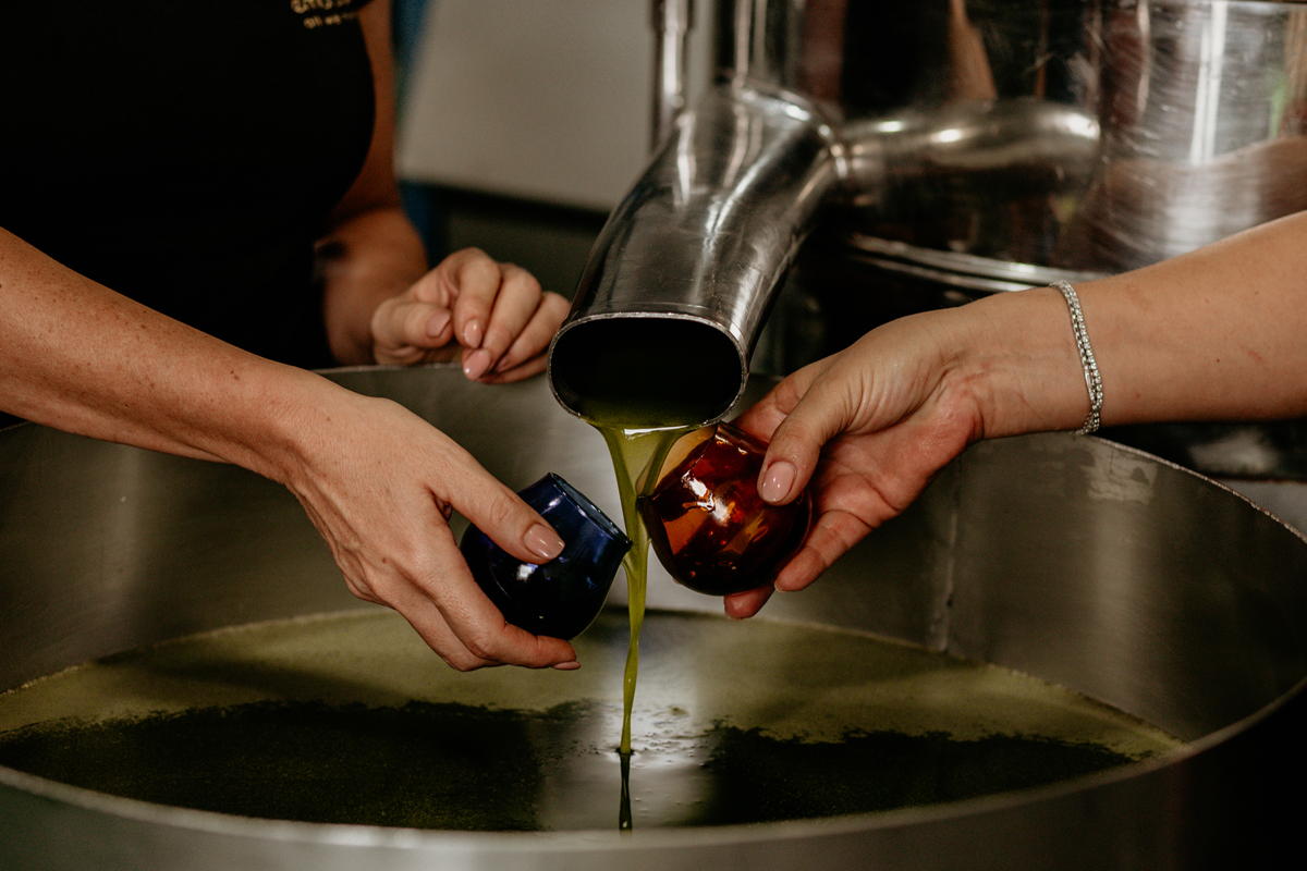 Do Olive Oil Have Expiry Date at Dwight Bradshaw blog